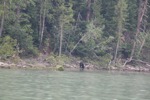 resIMG_20170716_173038_8717.JPG